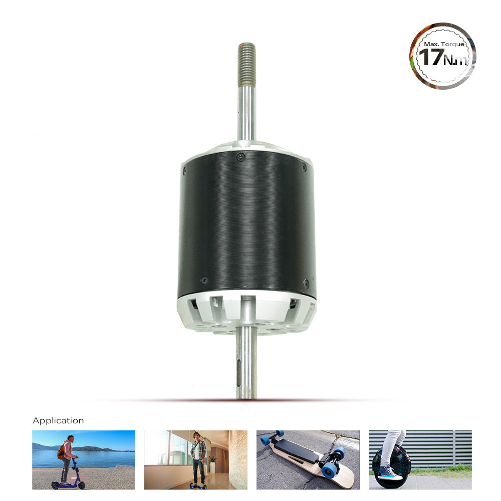 MP 80100 RC Outrunner Brushless Motor for E- Bike